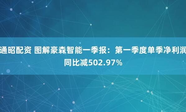 通昭配资 图解豪森智能一季报：第一季度单季净利润同比减502.97%