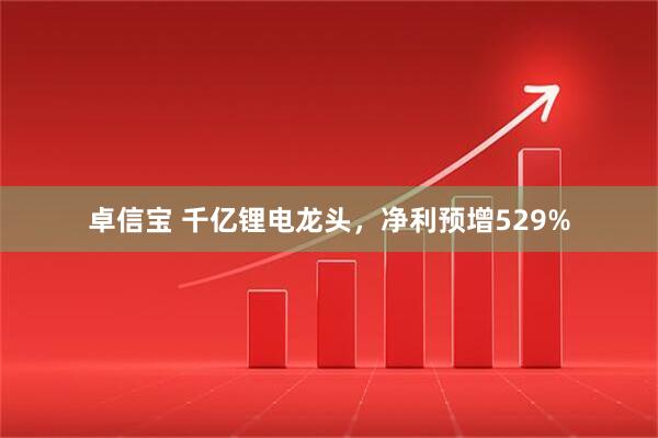 卓信宝 千亿锂电龙头，净利预增529%